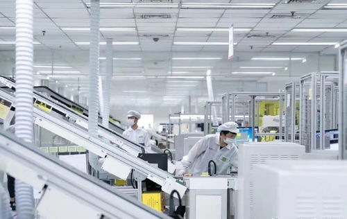 林雪萍 IT巨頭隱形推手，中國液晶屏崛起背后的AI軟件力量